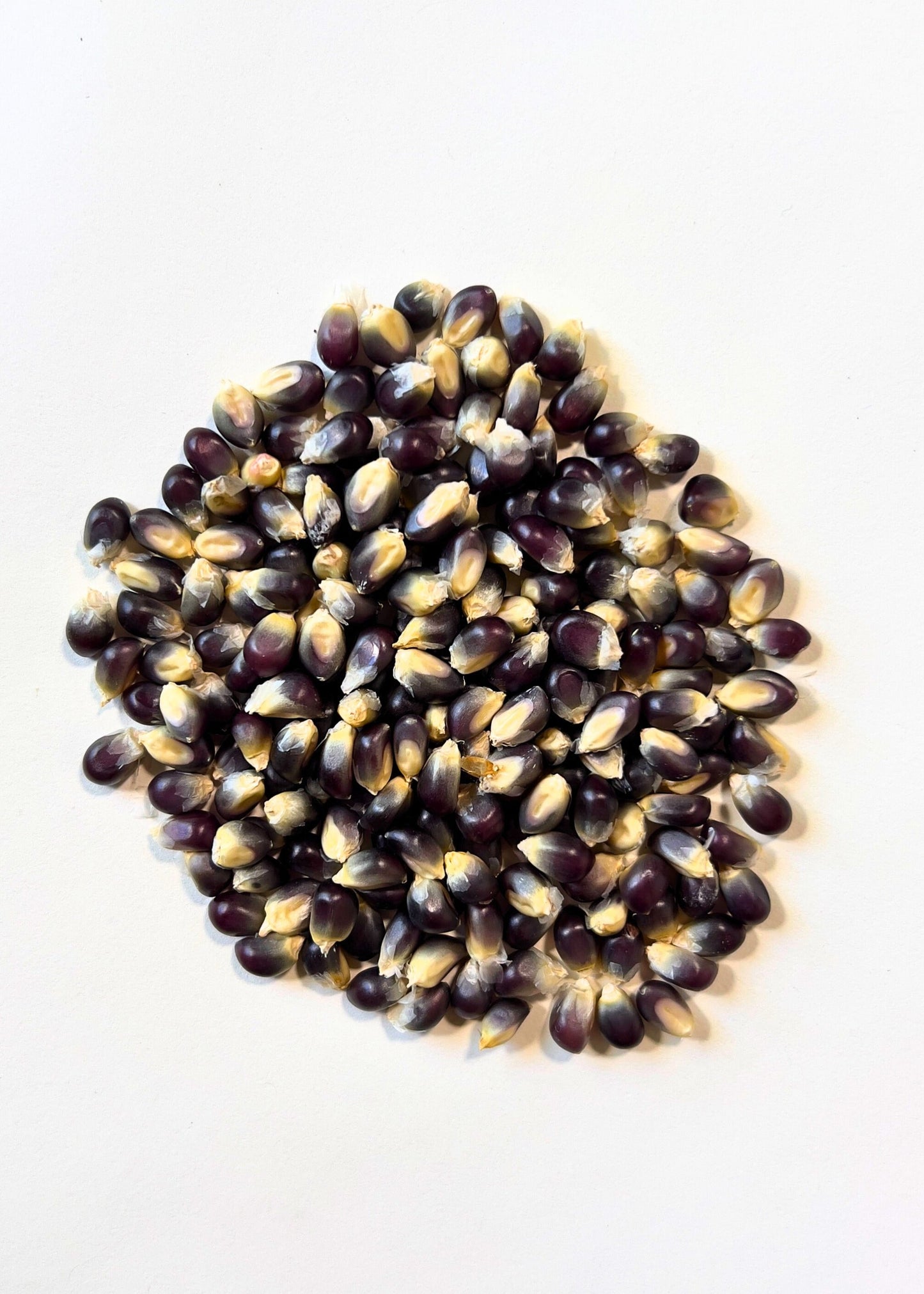Shaman's Blue Popcorn