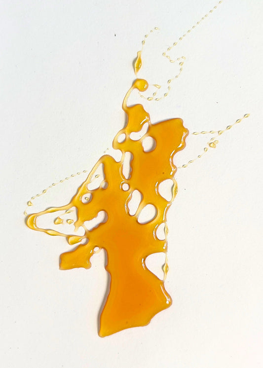 Oregon Meadowfoam Honey
