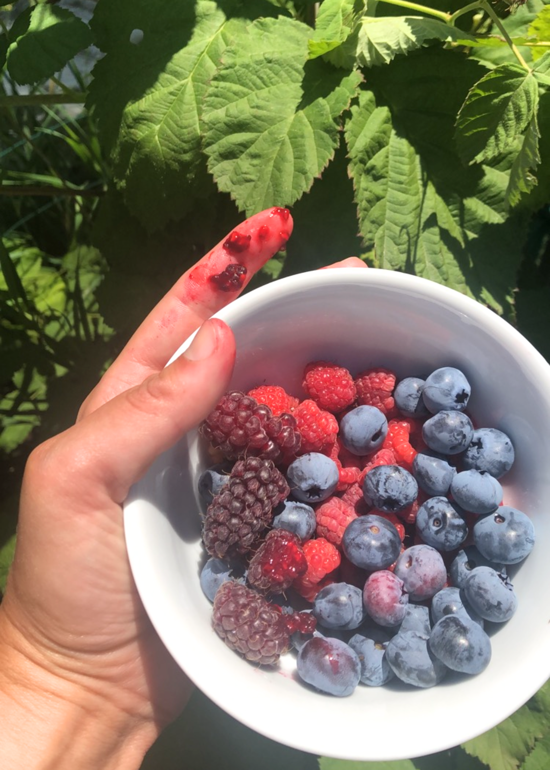 Pacific Northwest Berry Jam