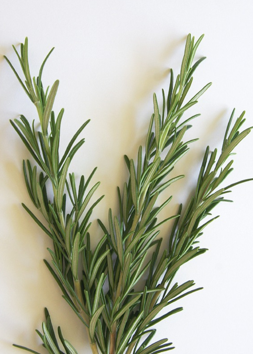 Rosemary Ghee