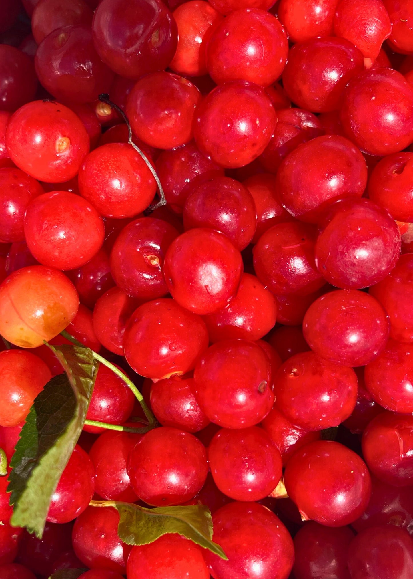 Cherry Jubilee Compote